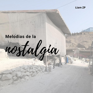 Melodias de la nostalgía by PalPla Grand