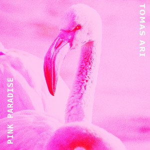 Pink Paradise by Tomas Ari