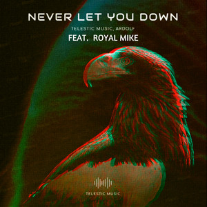 Never Let You Down - Remix by Telestic Music, Ardolf, Royal Mike
