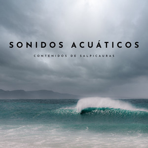 Sonidos Acuáticos: Contenidos De Salpicauras album