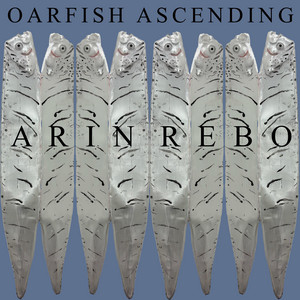 Oarfish Ascending by Arin Rebo