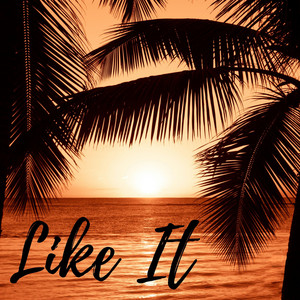 Like It by Vely Avery