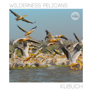 Wilderness Pelicans by Kubuch