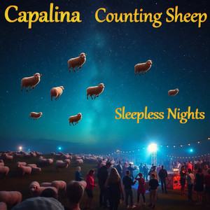 One Counting Sheep Sleepy Pete - Hardstyle festival by Wilfried Capello, Capalina
