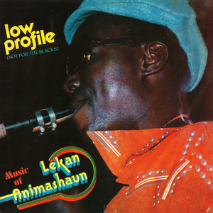 Lekan Animashaun — Low Profile (2026)