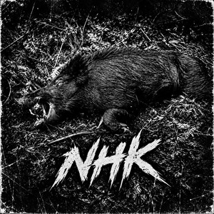 Night time bandits by NHK