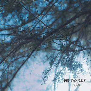 Light by PENTAXX.B.F