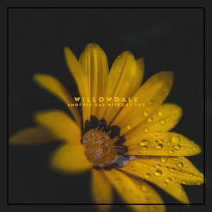 Another Day Whithout You by Willowdale