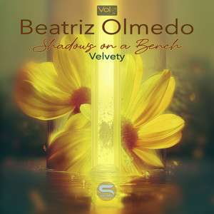 Shadows on a Bench - Velvety by Beatriz Olmedo