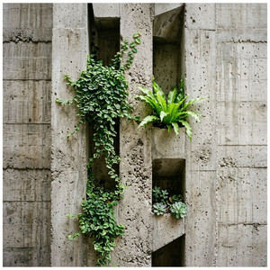 Concrete by Drayton
