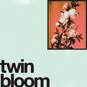 Summer's Gone by Twin Bloom