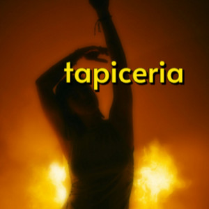 tapiceria by Danton FZ