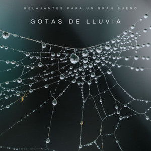 Gotas De Lluvia Relajantes Para Un Gran Sueño album