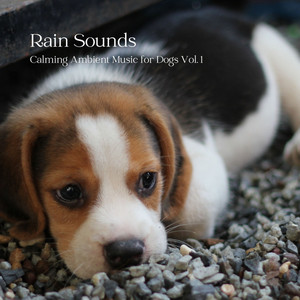 Rain Sounds: Calming Ambient Music for Dogs Vol. 1 album