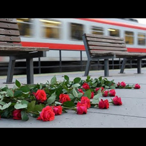 Roses on the Platform / Троянди на пероні