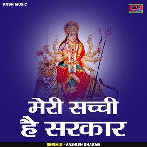 Meri Sachchi Hai Sarkar - Hindi