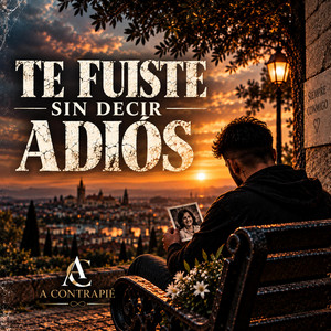 Te fuiste sin decir adiós by Acontrapié