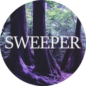 Forest Echoes by Sweeper