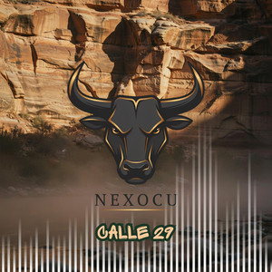 Calle 29 by NEXOCU