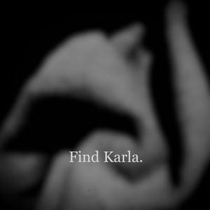 Find Karla - The Better (feat. Nicky Spesh)