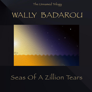 You can't hide always - Single by Wally Badarou | Spotify