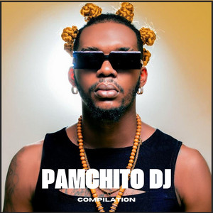Pamchito DJ - Profiter