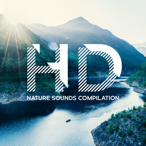 HD Nature Sounds Compilation: Headache Relief, Awareness & Contemplation, Study Music, Just Relax before Bedtime, Hypnotic Therapy Music with Natural Energy, Relaxing Zen Music & Calming Water album