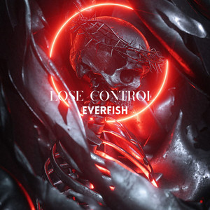 Lose Control - Radio Edit by Everfish