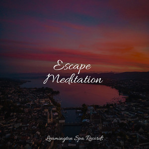 Escape Meditation album