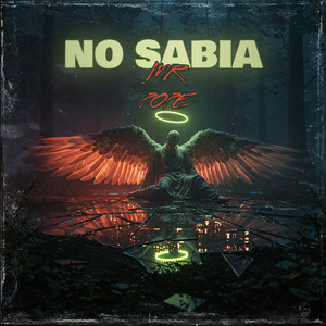 NO SABIA by MR Pope