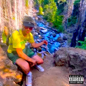 Lil Gurtles - All the Gurtles