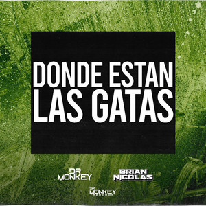 DONDE ESTAN LAS GATAS by Dj Dr Monkey, Brian Nicolas