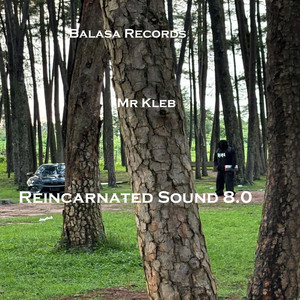 Reincarnated Sound 8.0 by Mr Kleb