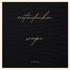 Linex - Nitaificha Wapi