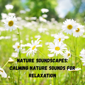 Nature Soundscapes: Calming Nature Sounds for Relaxation album