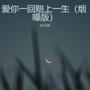 爱你一回赔上一生（烟嗓版） by 任天琪