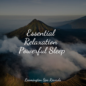 Essential Relaxation Powerful Sleep album