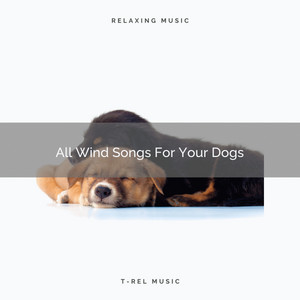 All Wind Songs For Your Dogs album