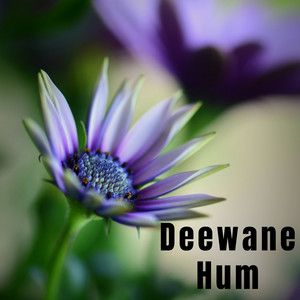 Sheikh Shuraim - Baadshah O Baadshah