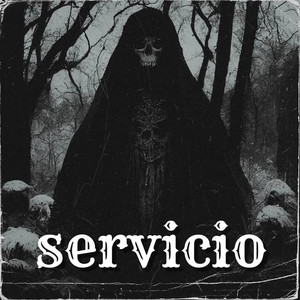 servicio by Setor mvp
