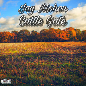 Cattle gate by Jay mohon
