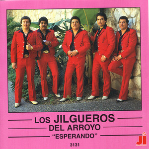 Los Jilgueros del Arroyo - Ilusion Sin Esperanza
