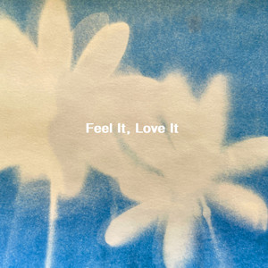 Feel it love it - Instrumental by VONAN