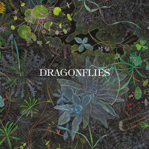 Setting Sun by Dragonflies, Dhani Harrison, Nigel Godrich