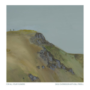 Further Down the Road by Skúli Sverrisson, Bill Frisell
