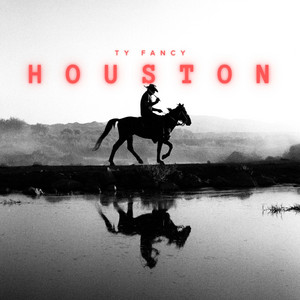 Houston by Ty fancy