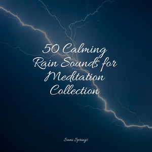 50 Calming Rain Sounds for Meditation Collection album