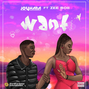 WANT (feat. Zeboy)
