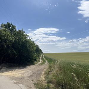 Path to Nowhere by Billi Khann