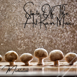 Meditation: State Of The Art Rain Music album